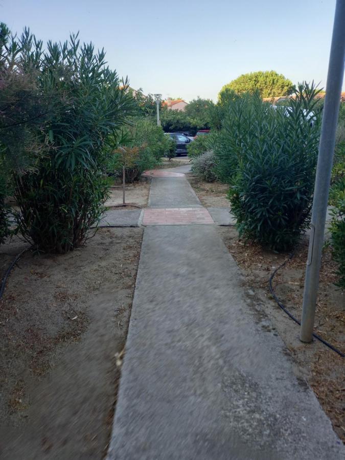 Appartement Saint Cyprien Plage Residence Les Mas De La Mer Exterior photo